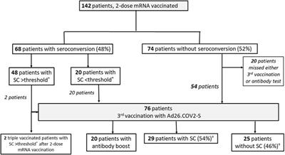 Enhanced SARS-CoV-2 Antibody Response After a Third Heterologous Vector Vaccine Ad26COVS1 Dose in mRNA Vaccine-Primed Kidney Transplant Recipients
